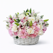 A Touch of Bloom