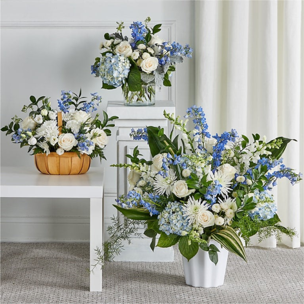 Blessings of Memory Bundles-S