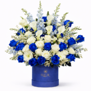 Blue Elegance