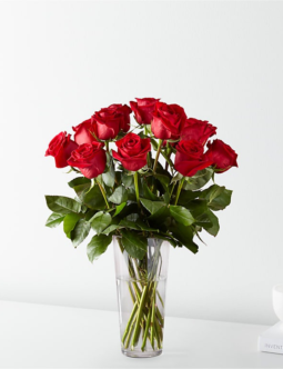 Dozen Red Roses