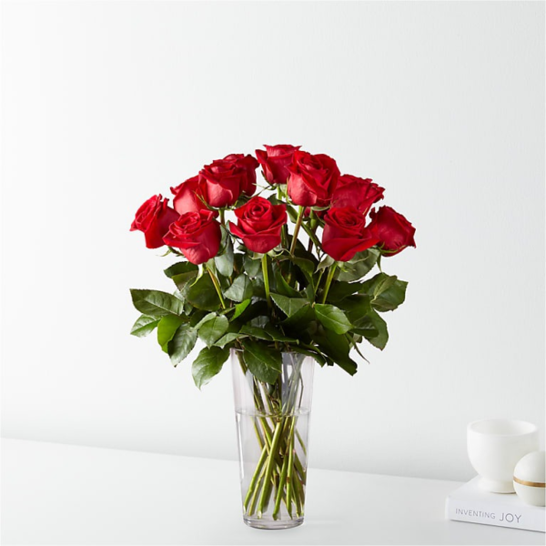 Dozen Red Roses Dozen Red Roses