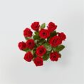 Dozen Red Roses Wrapped