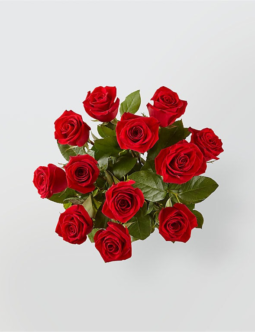 Dozen Red Roses Wrapped