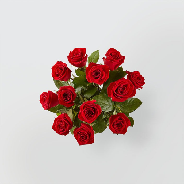 Dozen Red Roses Wrapped Dozen Red Roses Wrapped