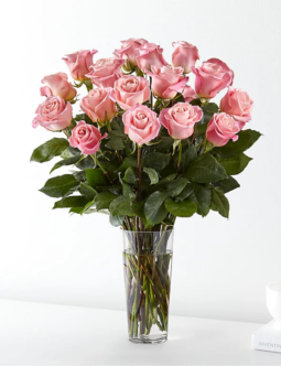 Long Stem Pink Roses