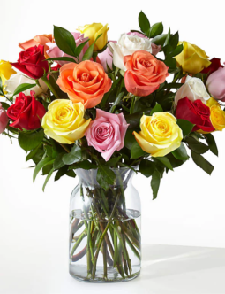 Mixed Roses