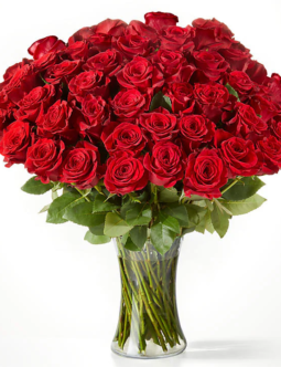 Fifty Long Stem Red Roses