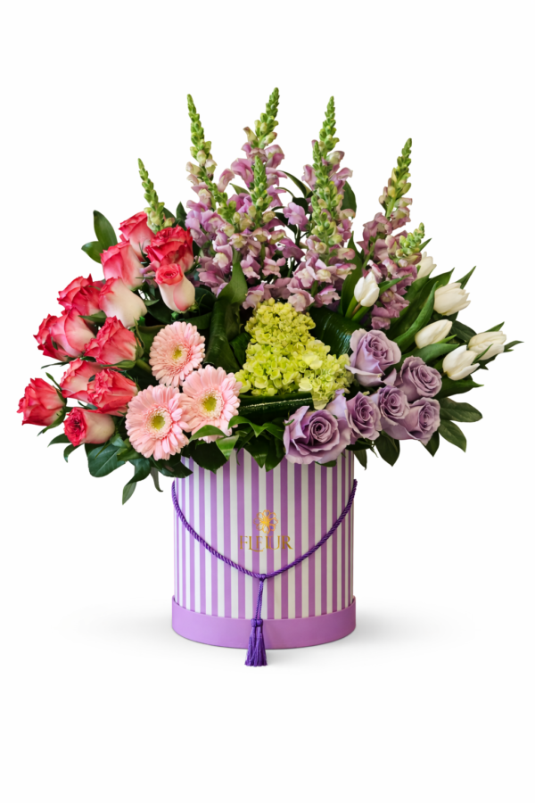 Freshly Arranged Freshly Arranged