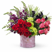 In-Full-Bloom.webp
