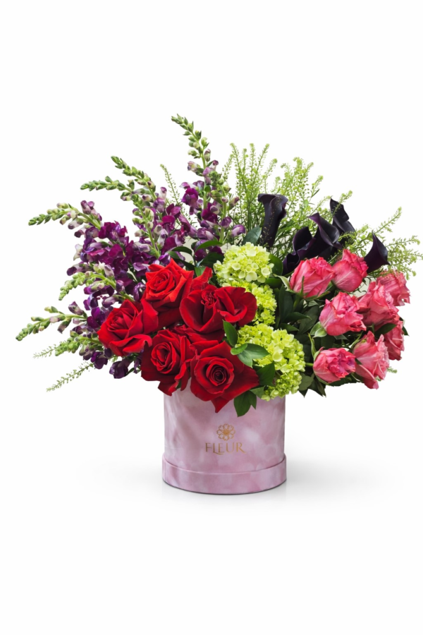 In-Full-Bloom.webp