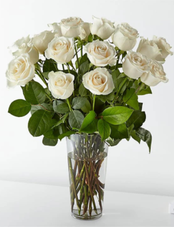 Long Stem White Roses