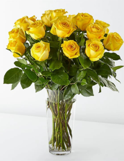 Long Stem Yellow Roses