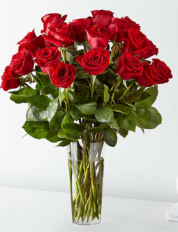 Long Stem Red Roses