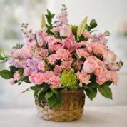 Sweet Bloom