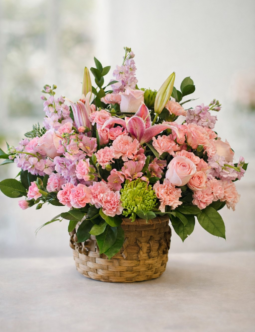 Sweet Bloom