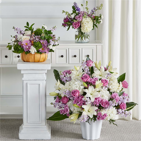 Tender Embrace Bundles-S Tender Embrace Bundles-S